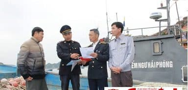 착취된 수산물에 대한 EC의 경고 카드 제거: 하이퐁에서 기록된 결과