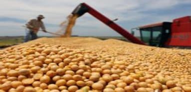 Vietnamese agricultural products entering Korea and VKFTA opportunities