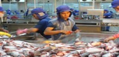 20 doanh nghiệp Việt Nam sang khảo sát thị trường Italia, Hà Lan