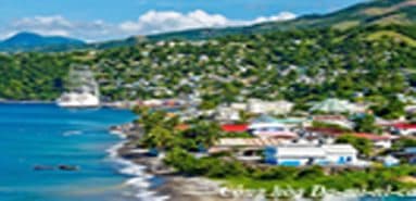 Trade exchange between Vietnam and the Dominican Republic grew strongly in 2014
