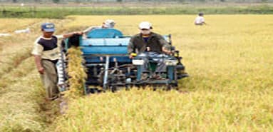 The picture of FDI in agriculture: Few projects, low capital
