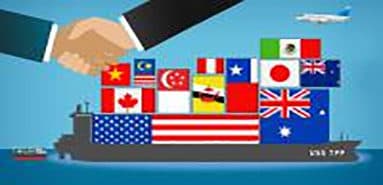 Ministry of Natural Resources and Environment: TPP is an opportunity for Vietnam to protect the environment
