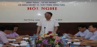 Focus on attracting businesses to invest in agricultural production