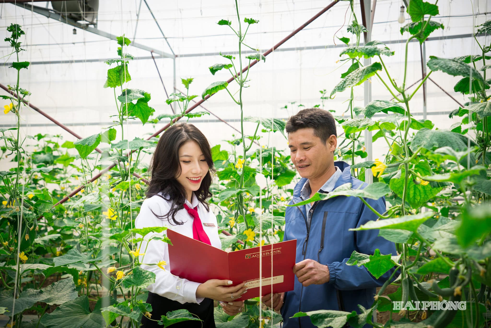 Tổng lực tiếp sức doanh nghiệp nhỏ và vừa