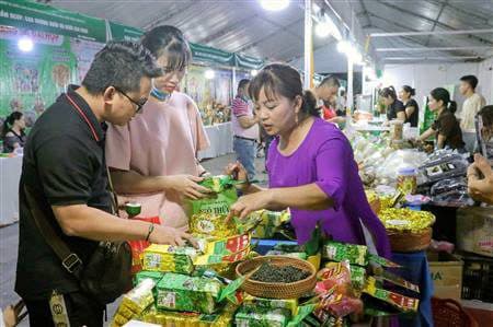 Issue a Plan to promote industrial promotion activities and support rural enterprises in technological innovation