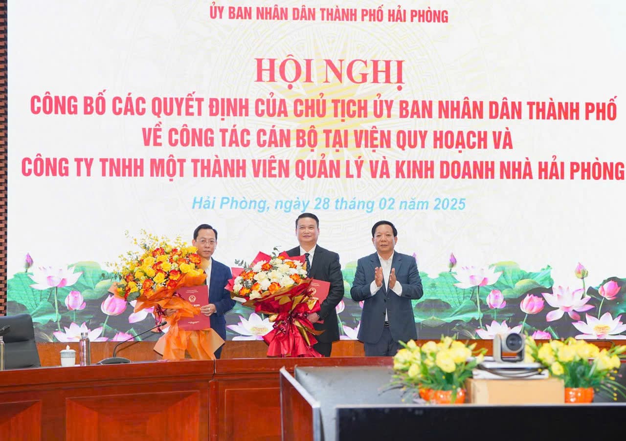 Appointed Director of the Institute of Planning and Chairman of Hai Phong Housing Management and Trading Company Limited