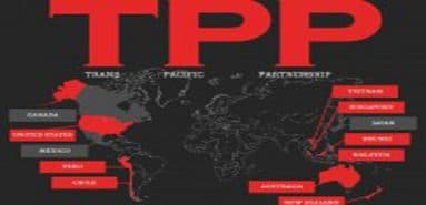 금융 부문의 TPP 약속