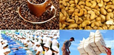Công văn đôn đốc tạo tài khoản tại Hệ thống thông tin quốc gia về đầu tư nước ngoài