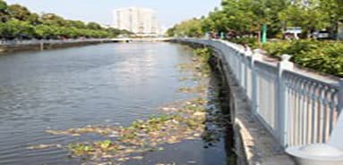 EU businesses seek investment opportunities in the environmental field